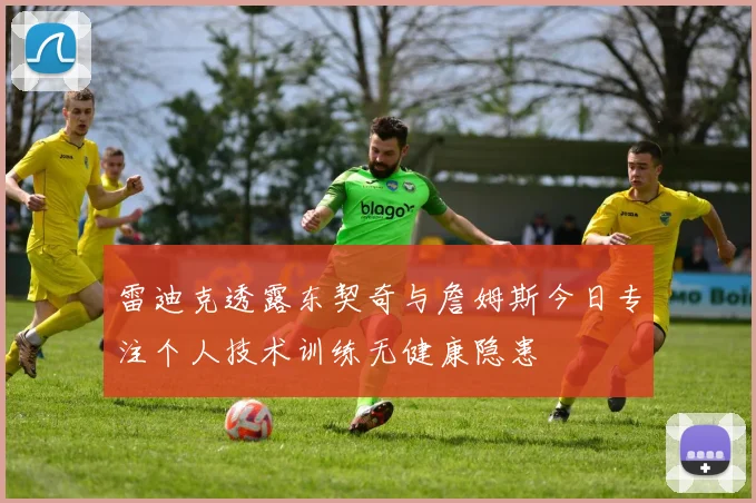 雷迪克透露东契奇与詹姆斯今日专注个人技术训练无健康隐患