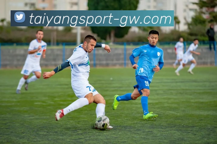 太阳城发展历程